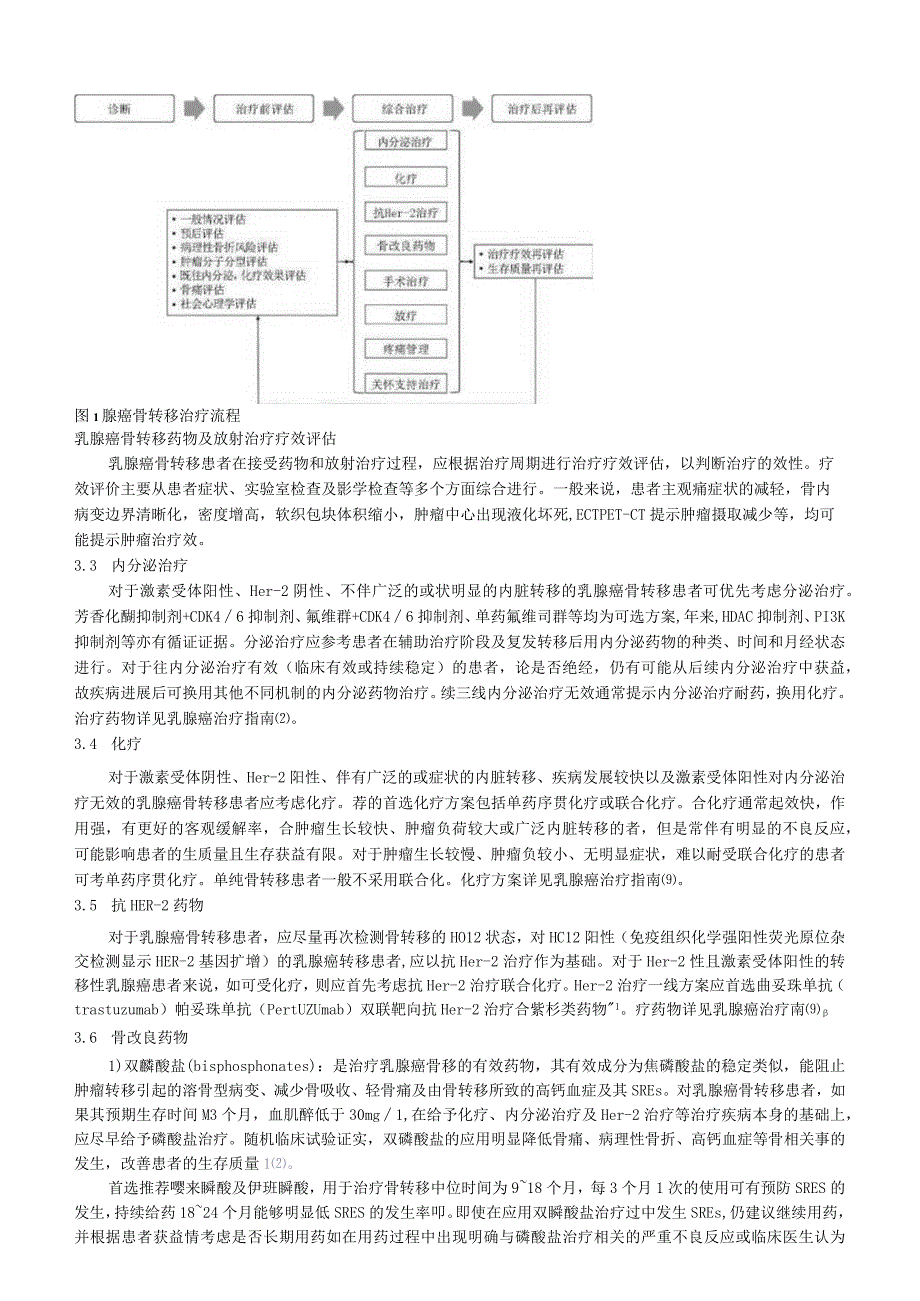 乳腺癌骨转移临床诊疗专家共识（2023）.docx_第3页