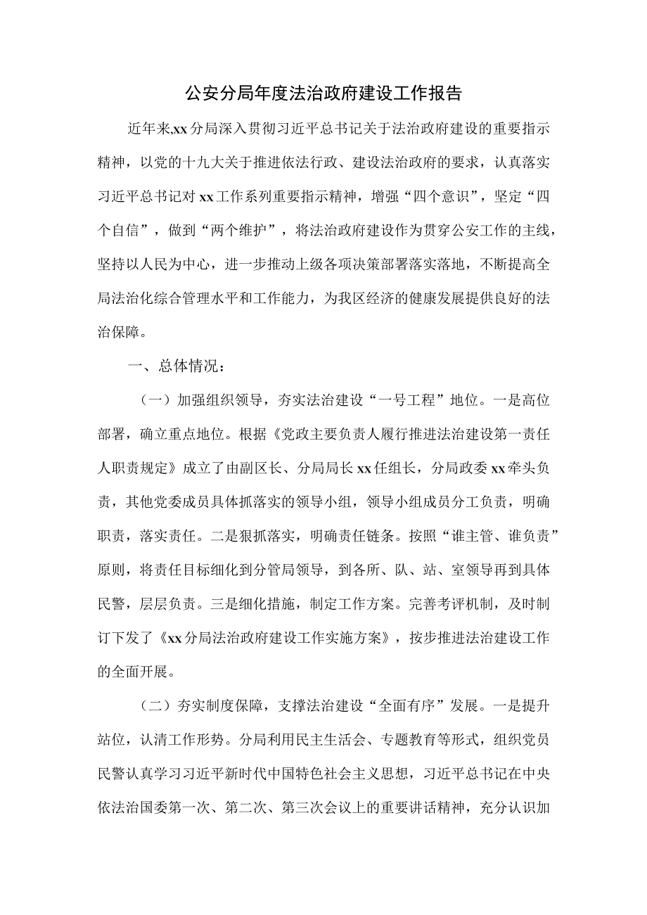 公安分局年度法治政府建设工作报告.docx_第1页