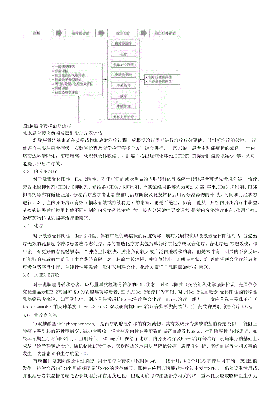 乳腺癌骨转移临床诊疗专家共识2023.docx_第3页