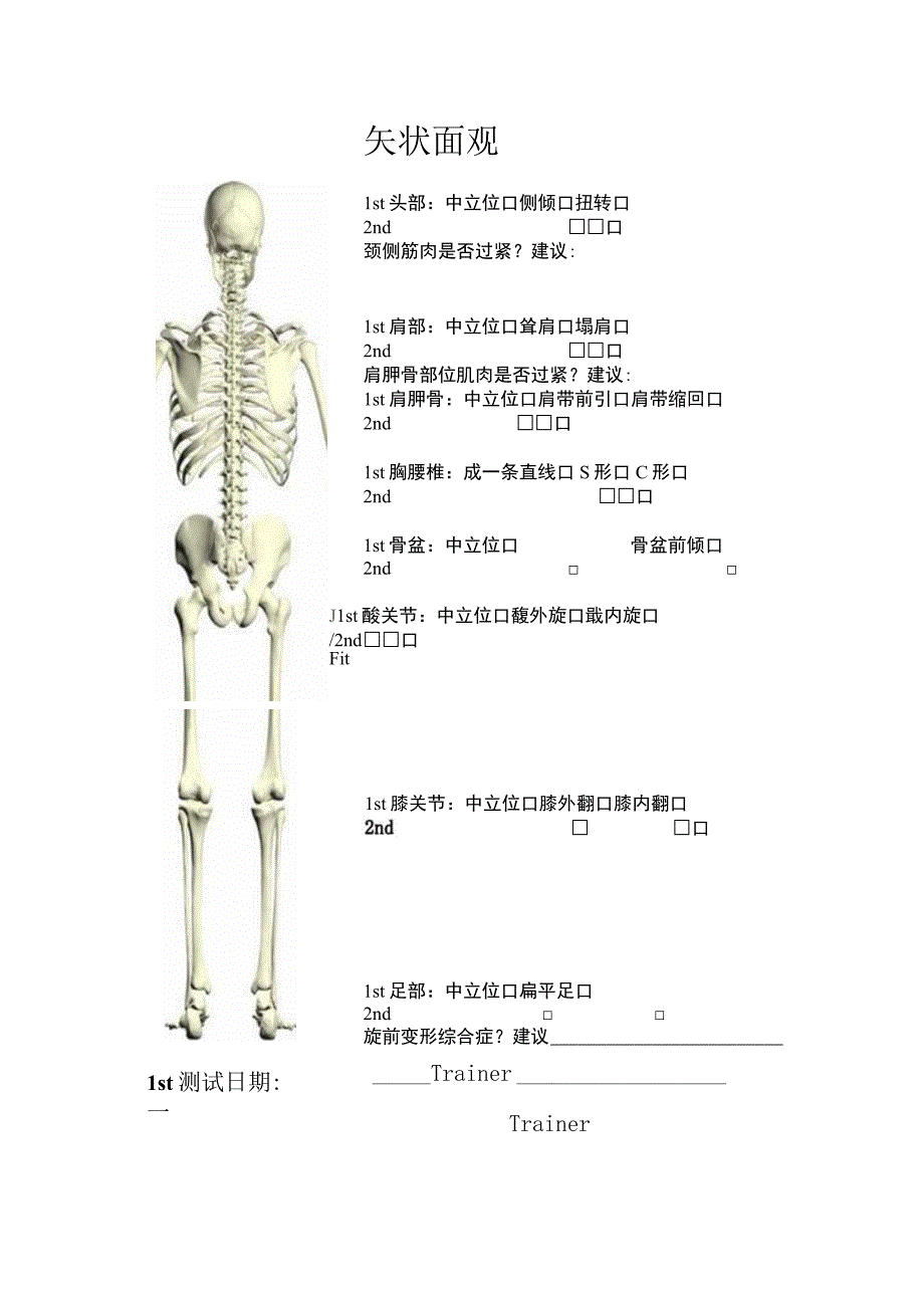 体位评估额状观.docx_第1页