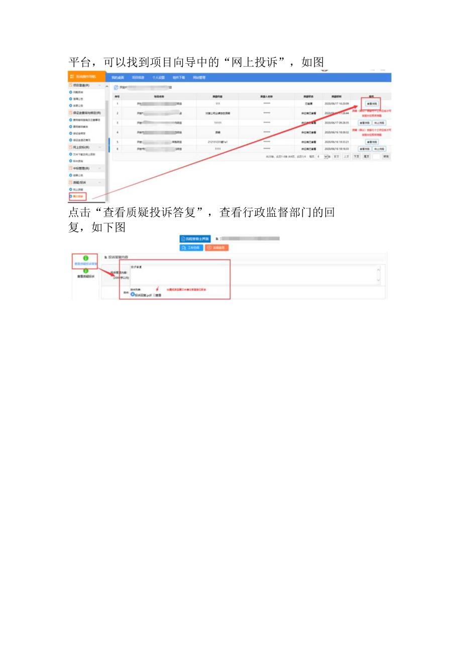 供应商投标人投诉操作手册.docx_第3页