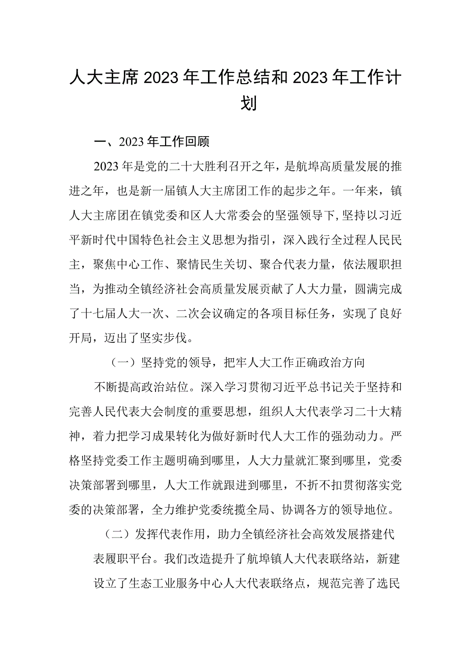 人大主席2023年工作总结和2023年工作计划.docx_第1页