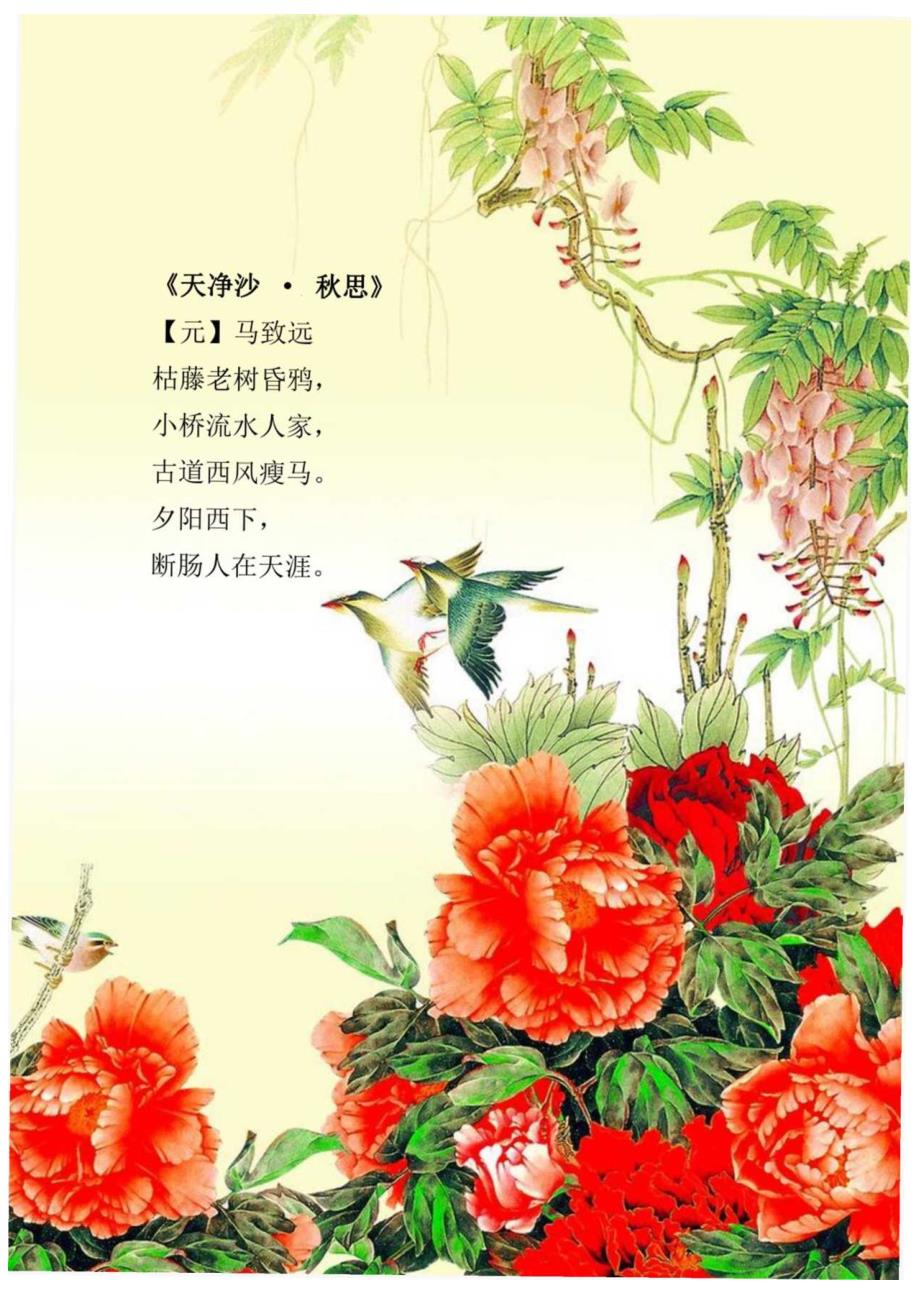 信纸荣华富贵牡丹花.docx_第1页