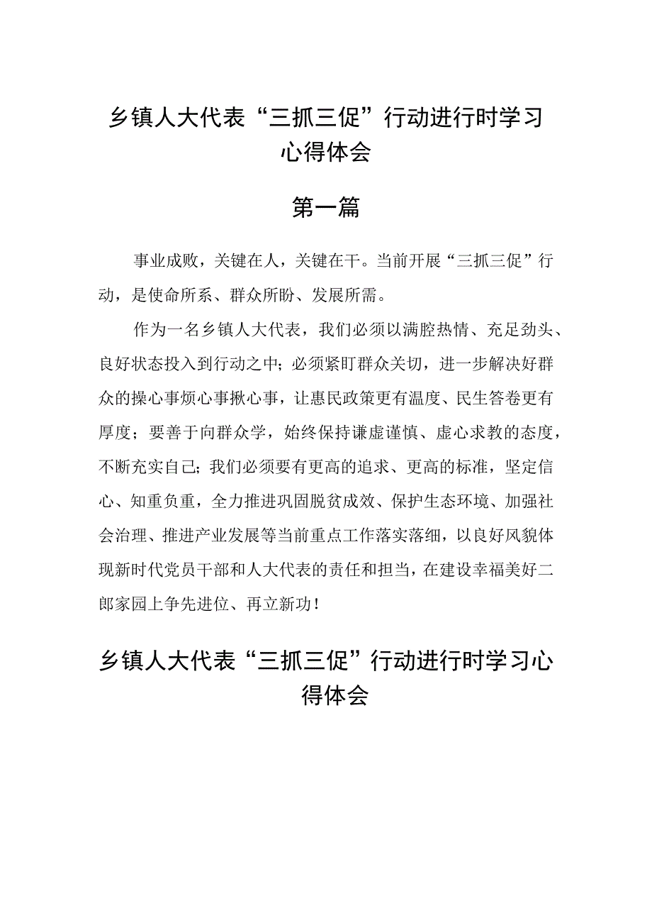 乡镇人大代表三抓三促行动进行时学习心得体会六篇.docx_第1页