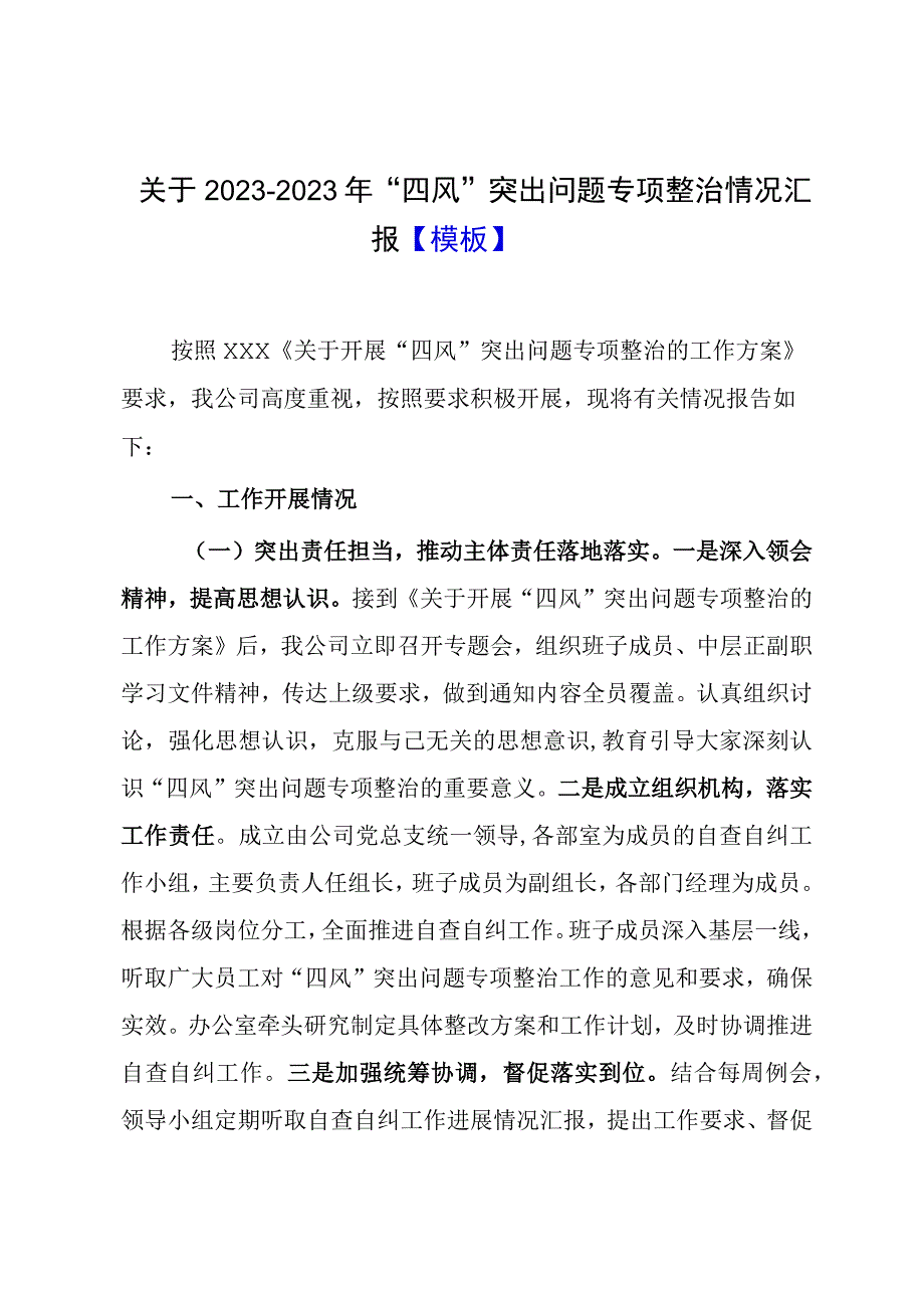 关于20232023年四风突出问题专项整治情况汇报模板.docx_第1页