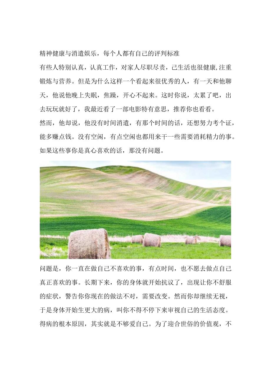 精神健康与消遣娱乐每个人都有自己的评判标准.docx_第1页