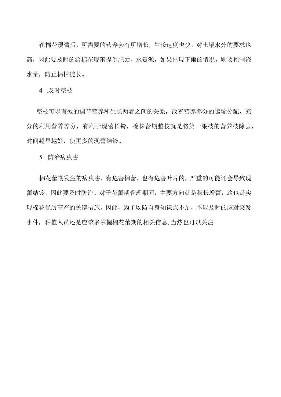 种植棉花如何才能使蕾期稳长增蕾.docx_第2页