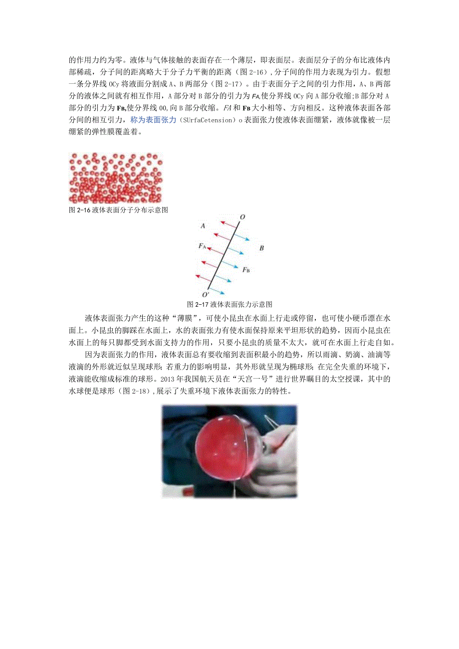 第2章固体与液体第2节表面张力和毛细现象.docx_第2页