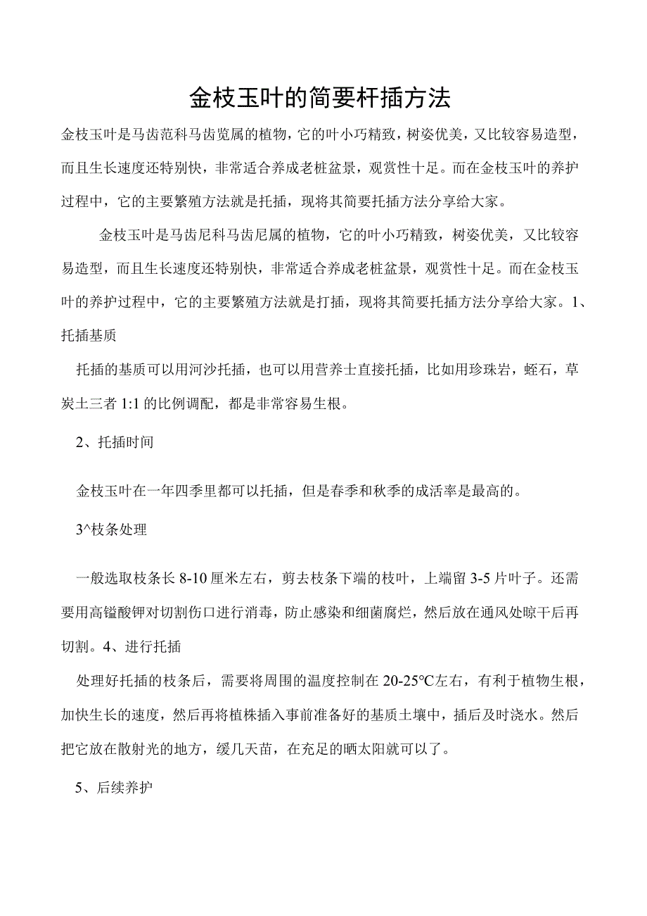 金枝玉叶的简要扦插方法.docx_第1页