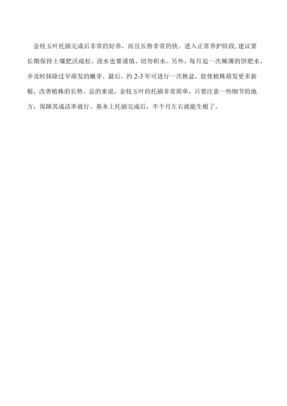 金枝玉叶的简要扦插方法.docx_第2页