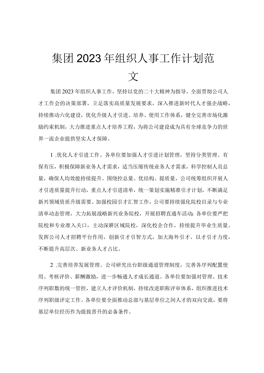 集团2023年组织人事工作计划范文.docx_第1页