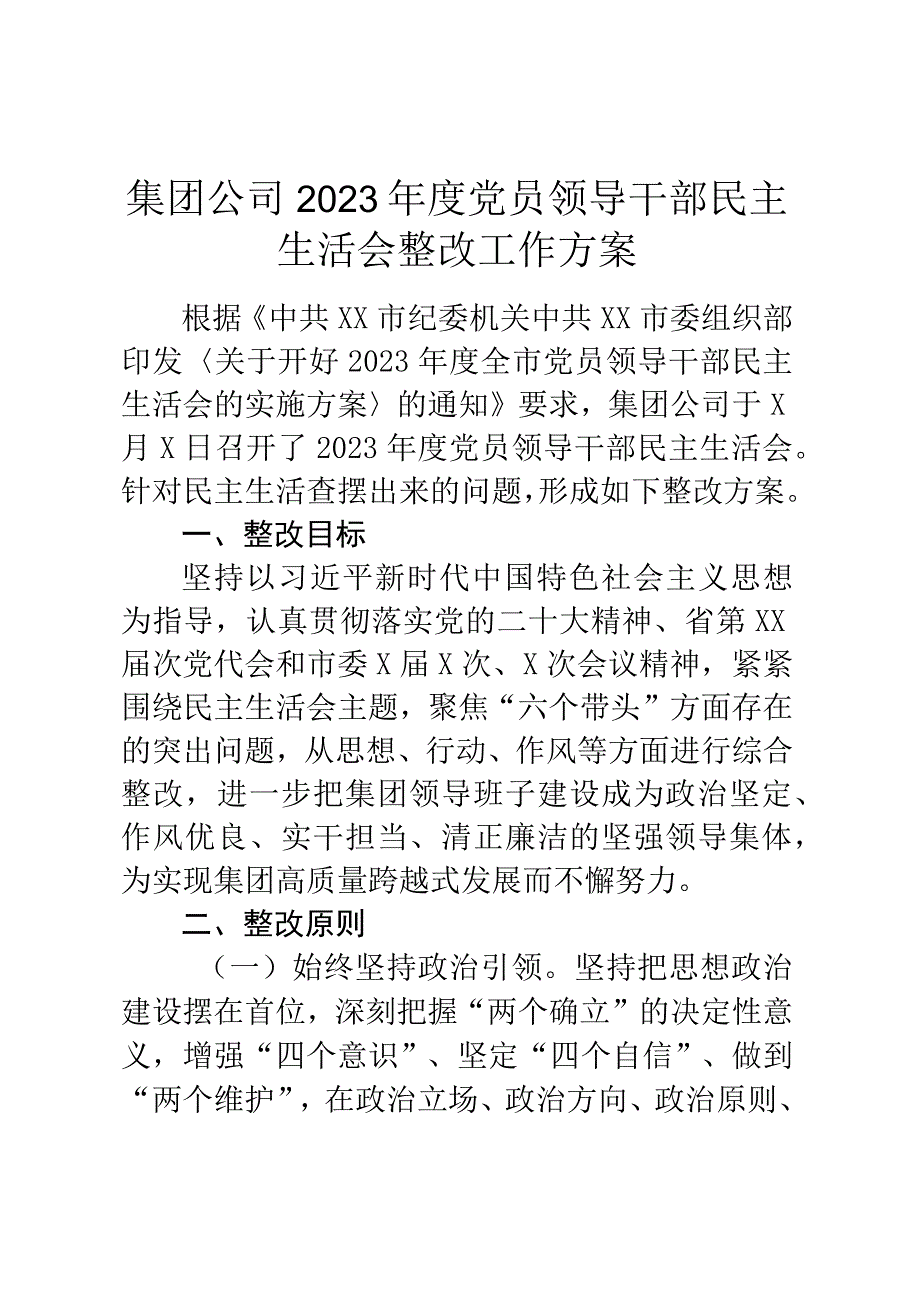 集团公司2023年度党员领导干部民主生活会整改工作方案.docx_第1页