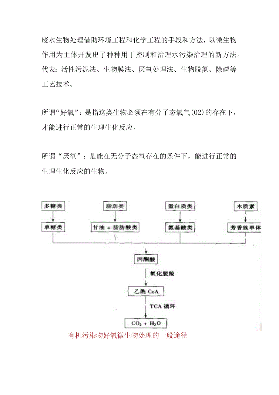 静脉产业园12种活性污泥处理工艺比较.docx_第1页