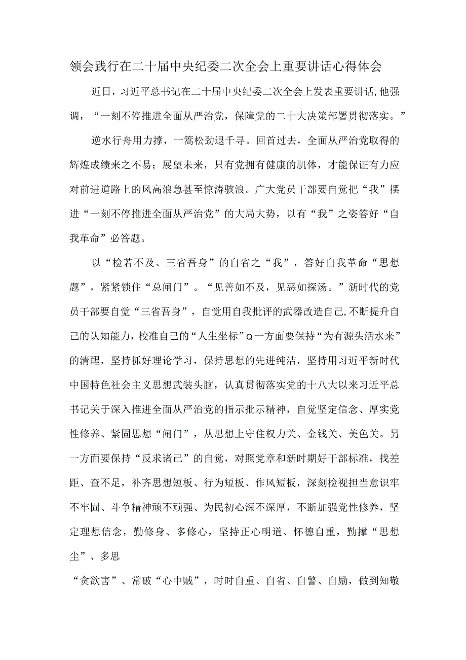 领会践行在二十届中央纪委二次全会上重要讲话心得体会.docx_第1页