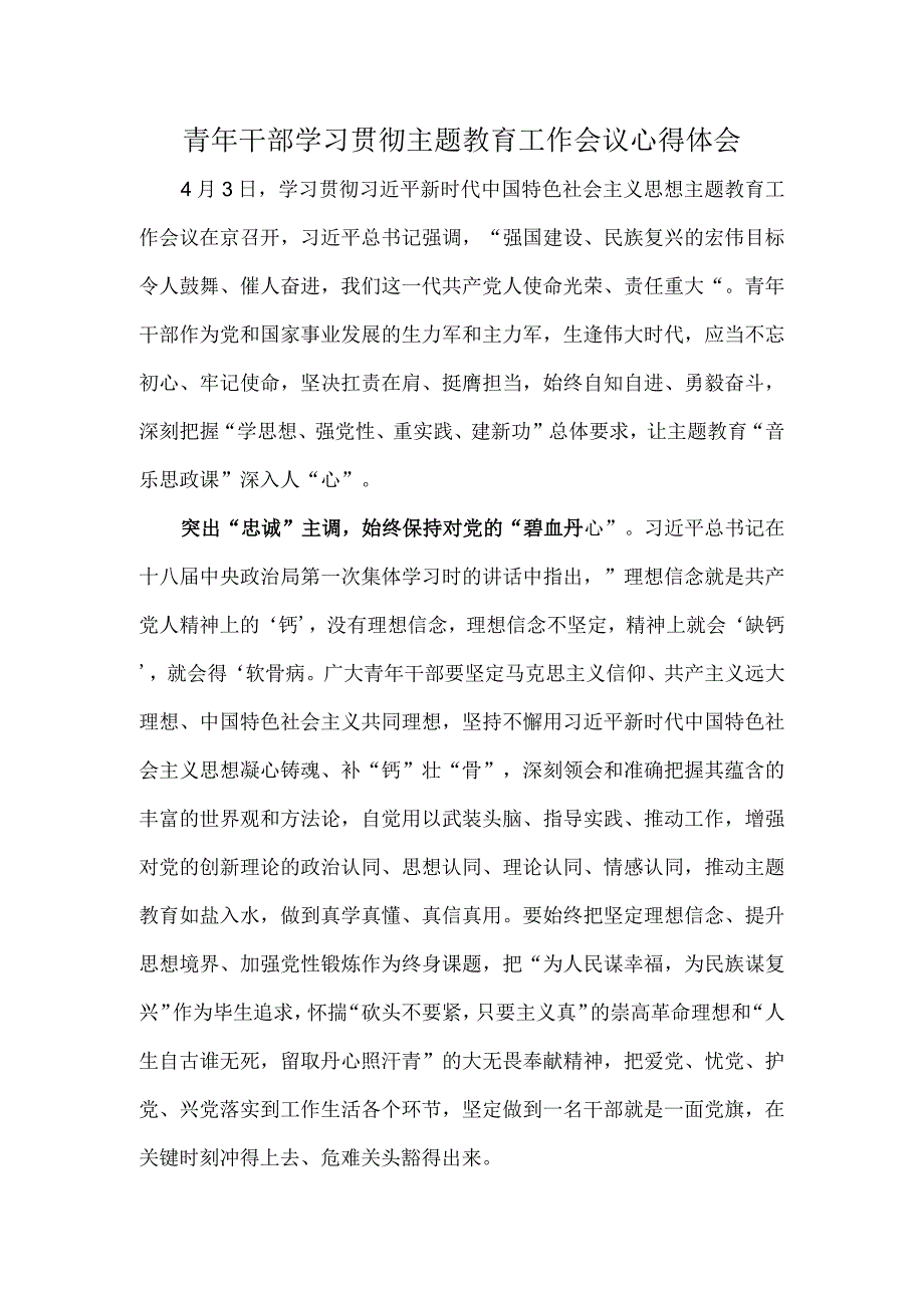 青年干部学习贯彻主题教育工作会议心得体会.docx_第1页