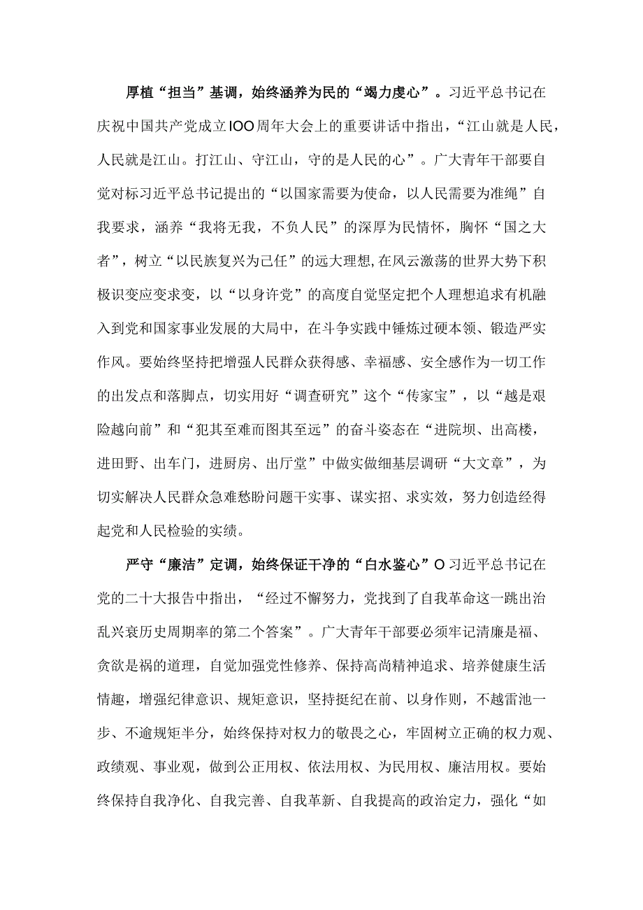 青年干部学习贯彻主题教育工作会议心得体会.docx_第2页