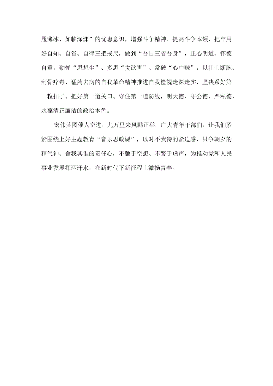 青年干部学习贯彻主题教育工作会议心得体会.docx_第3页