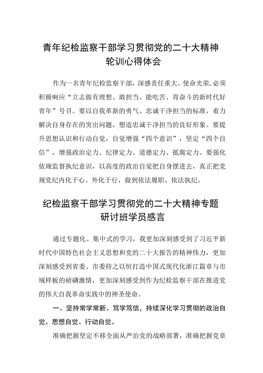 青年纪检监察干部学习贯彻党的二十大精神轮训心得体会(精选三篇).docx_第1页