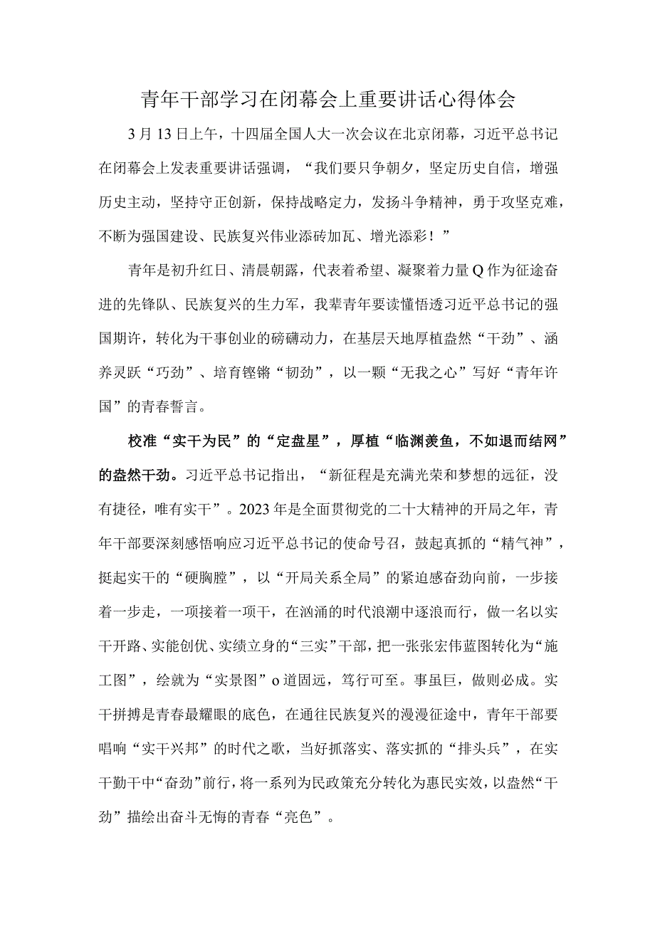 青年干部学习在闭幕会上重要讲话心得体会.docx_第1页