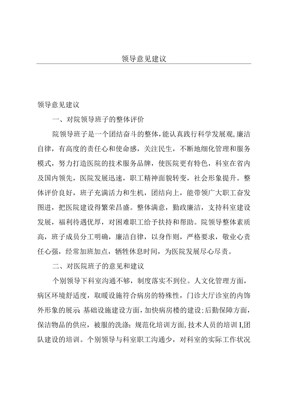 领导意见建议.docx_第1页