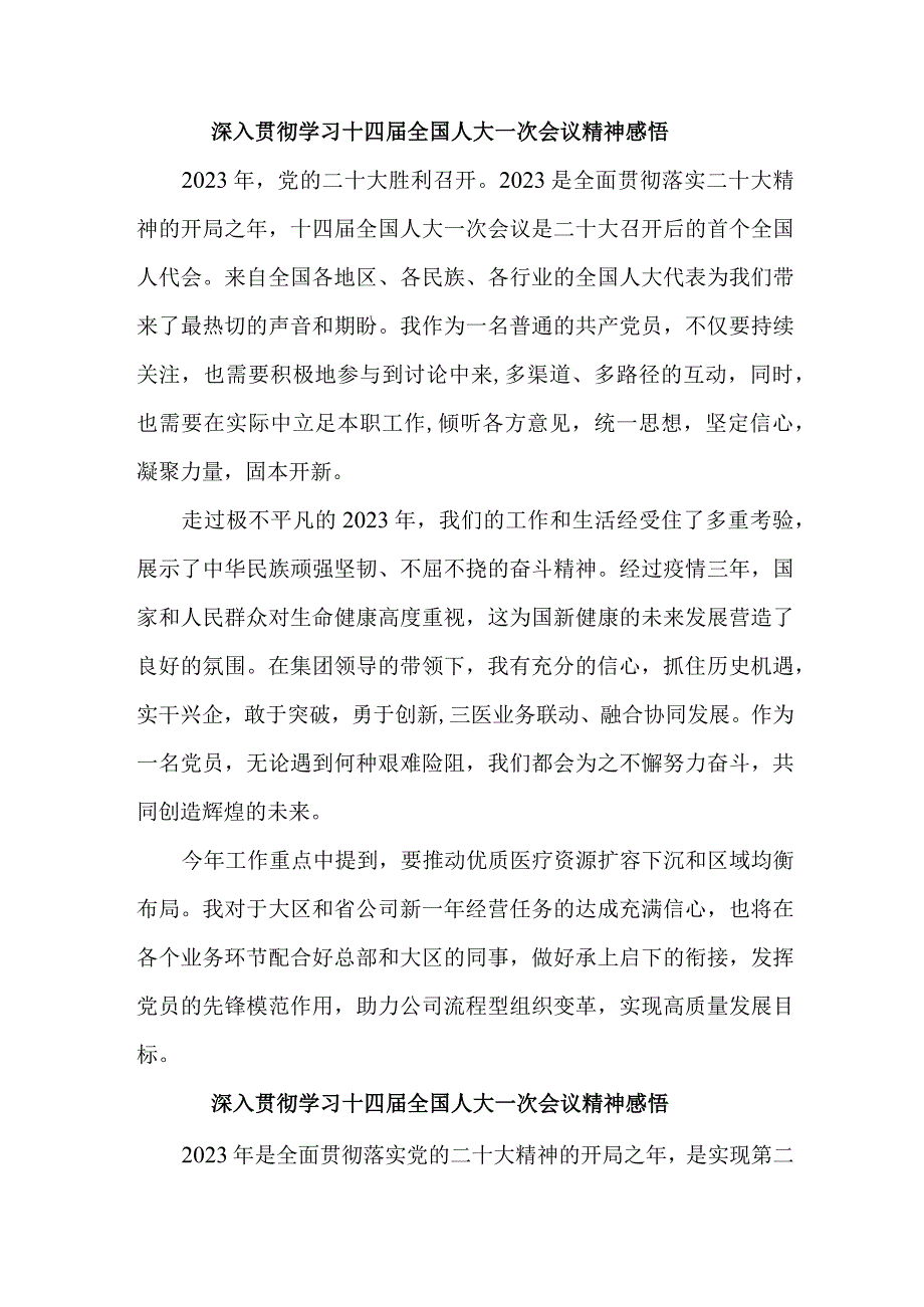 驻村第一书记深入贯彻学习十四届全国人大一次会议心得体会感悟合编4份.docx_第1页