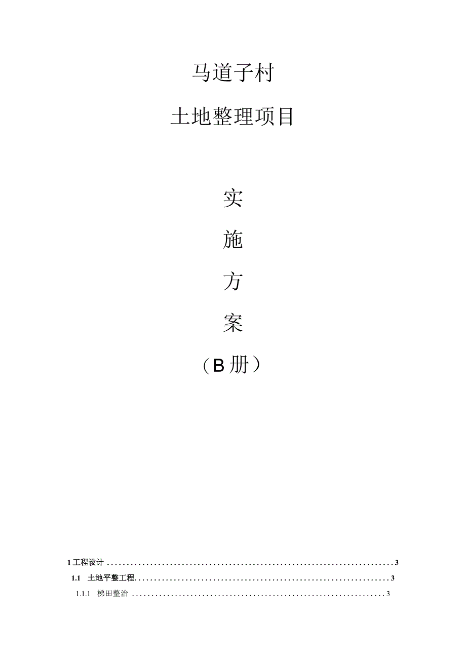 马道子村土地整理项目实施方案B册.docx_第1页