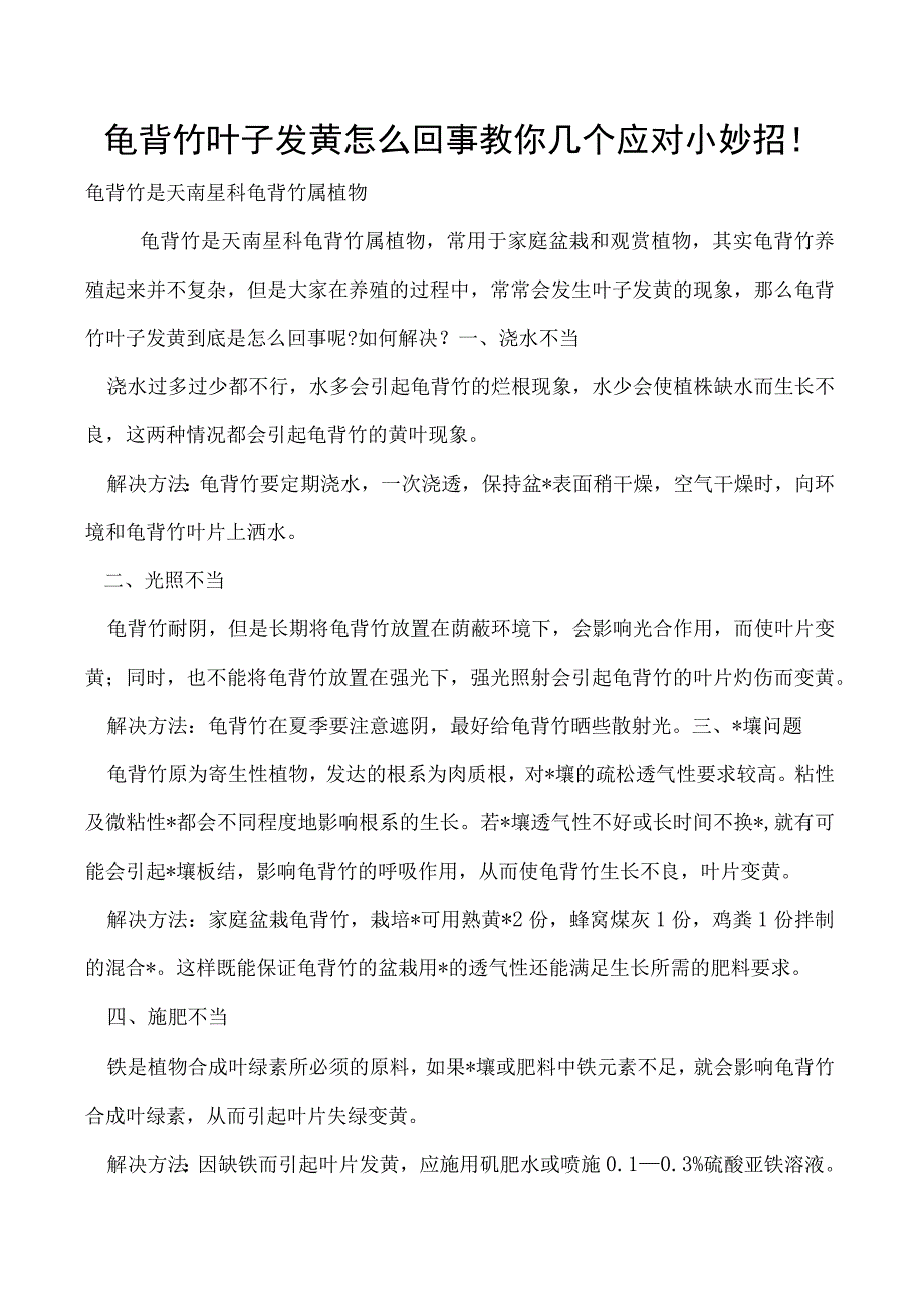 龟背竹叶子发黄怎么回事教你几个应对小妙招！.docx_第1页