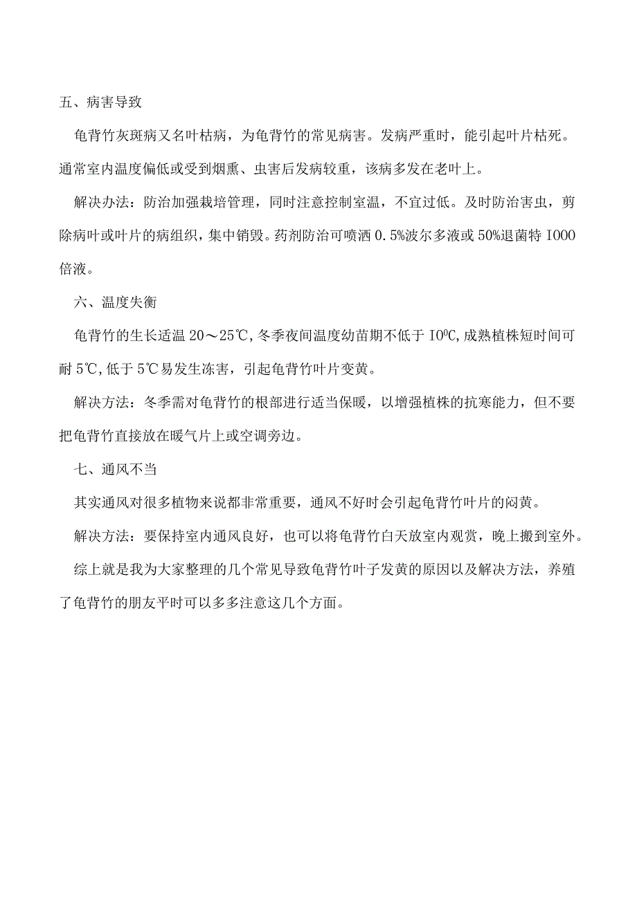 龟背竹叶子发黄怎么回事教你几个应对小妙招！.docx_第2页