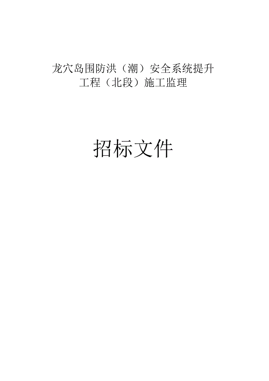 龙穴岛围防洪（潮）安全系统提升工程（北段）施工监理招标文件.docx_第1页