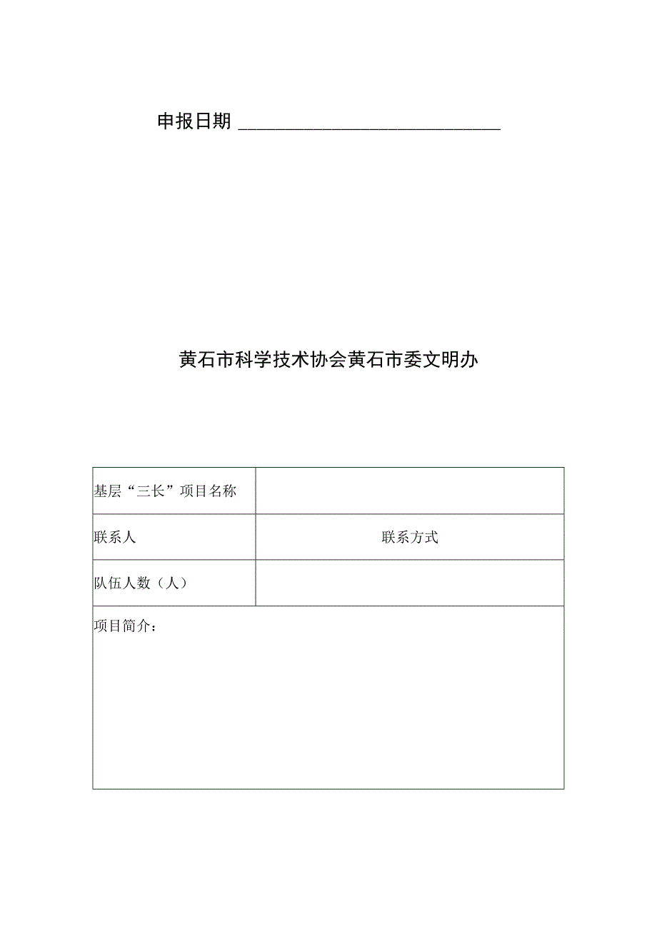 黄石市优秀基层“三长”项目申报表.docx_第2页