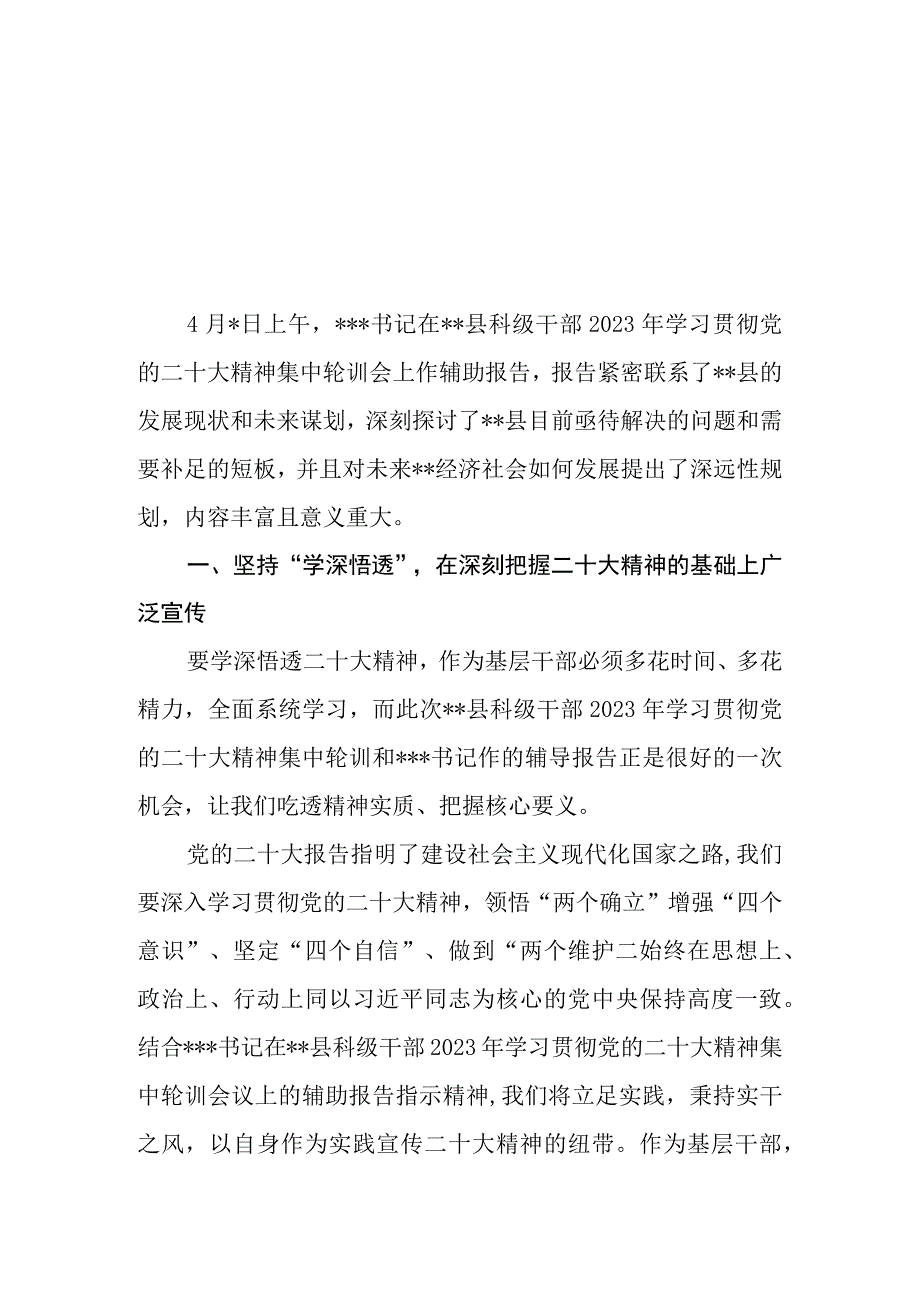 （12篇）2023基层干部学习贯彻党的二十大精神学习班培训班研讨发言材料.docx_第1页