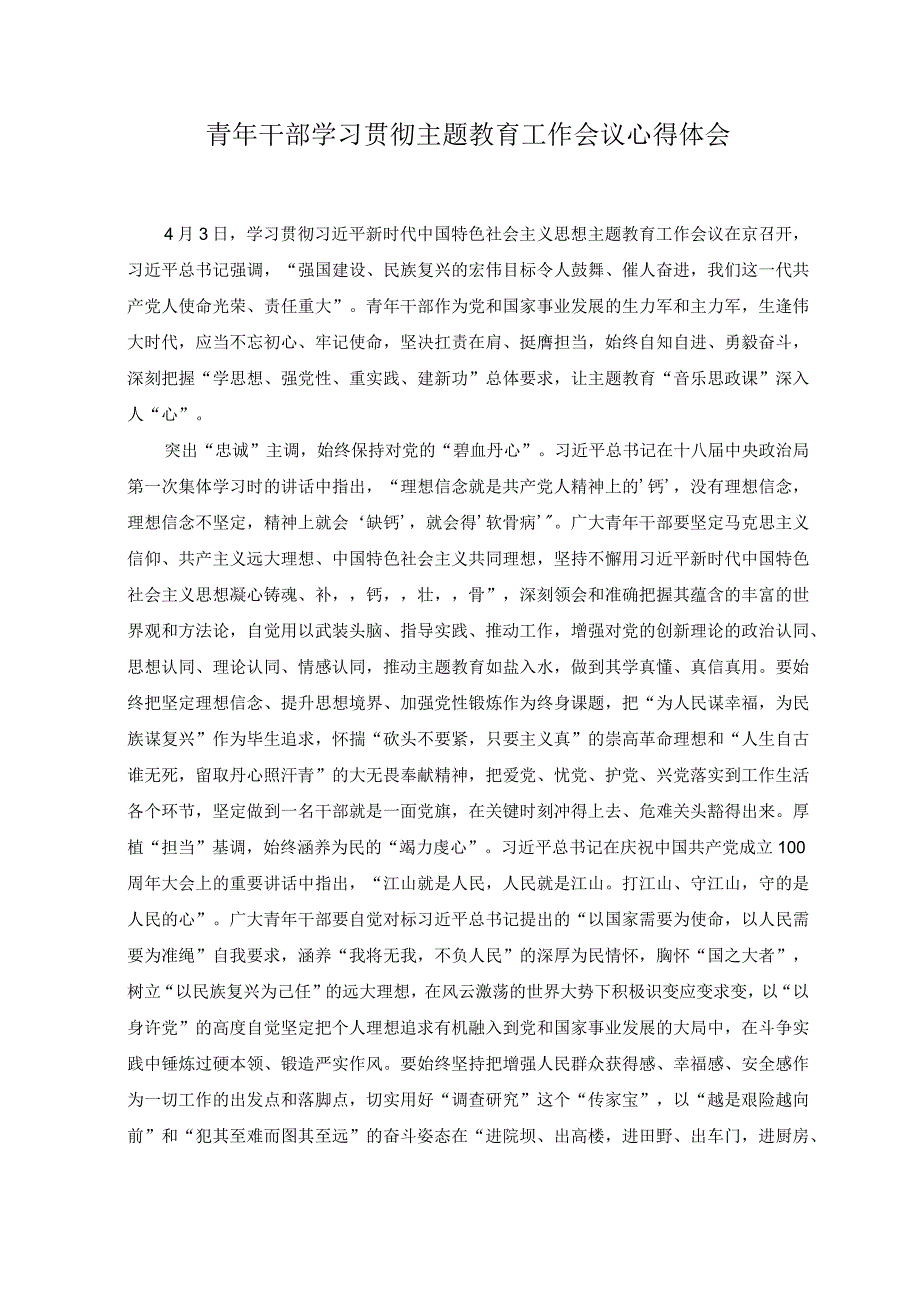 （2篇）2023年青年干部学习贯彻主题教育工作会议心得体会.docx_第1页