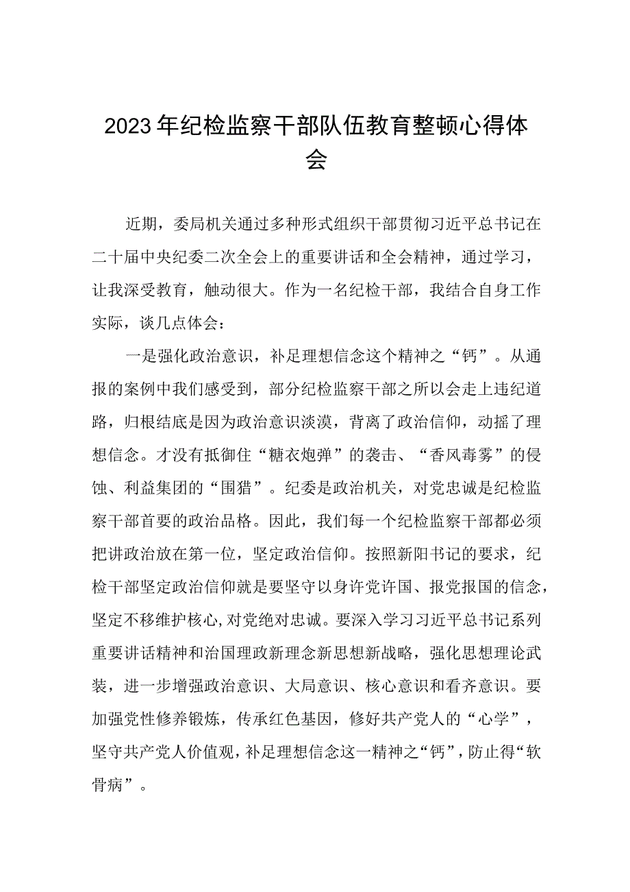 2023年纪检监察干部队伍教育整顿活动心得体会发言六篇模板.docx_第1页