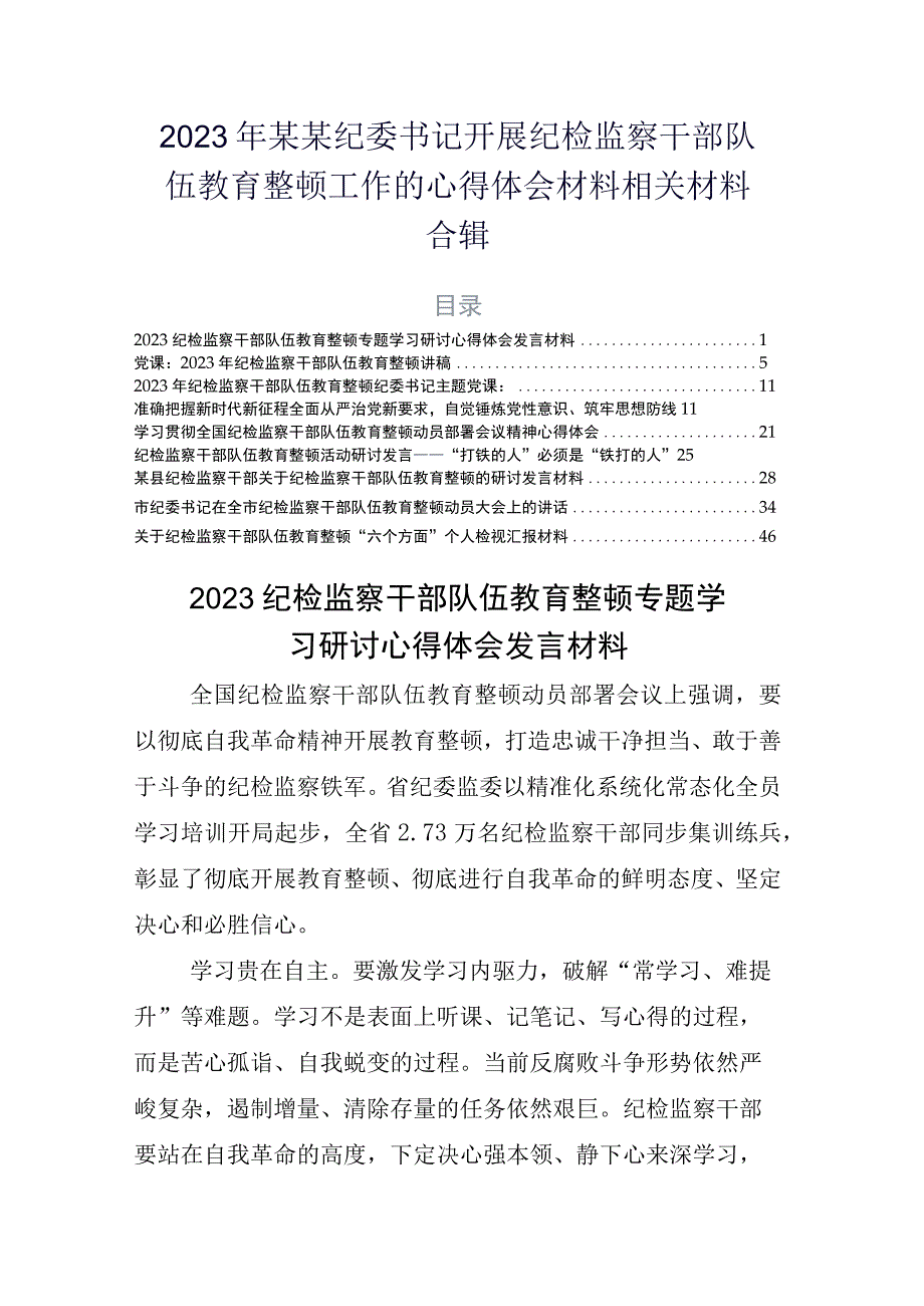 2023年某某纪委书记开展纪检监察干部队伍教育整顿工作的心得体会材料相关材料合辑.docx_第1页