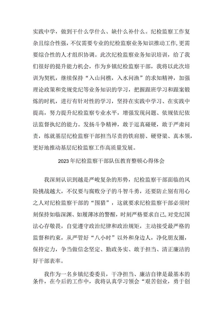 2023年新版全省纪检监察干部队伍思想教育整顿个人心得体会.docx_第2页