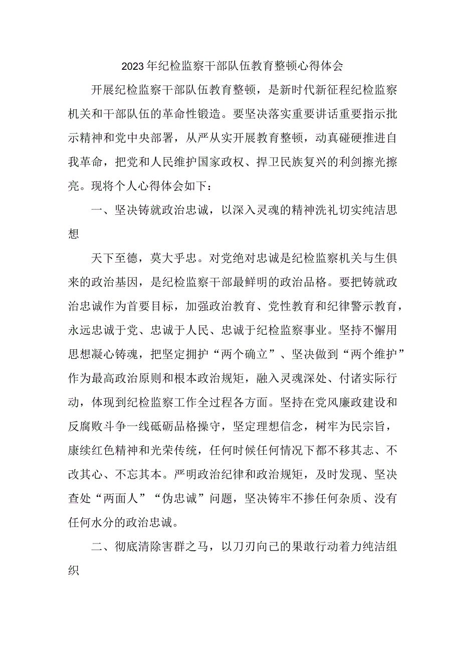 2023年新版全省纪检监察干部队伍思想教育整顿个人心得体会 （汇编8份）.docx_第1页