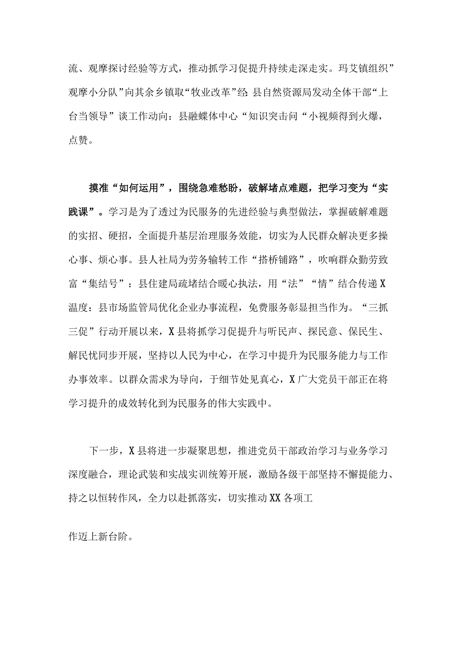 2023年深入开展三抓三促行动情况总结典型经验材料(2篇)汇编.docx_第3页