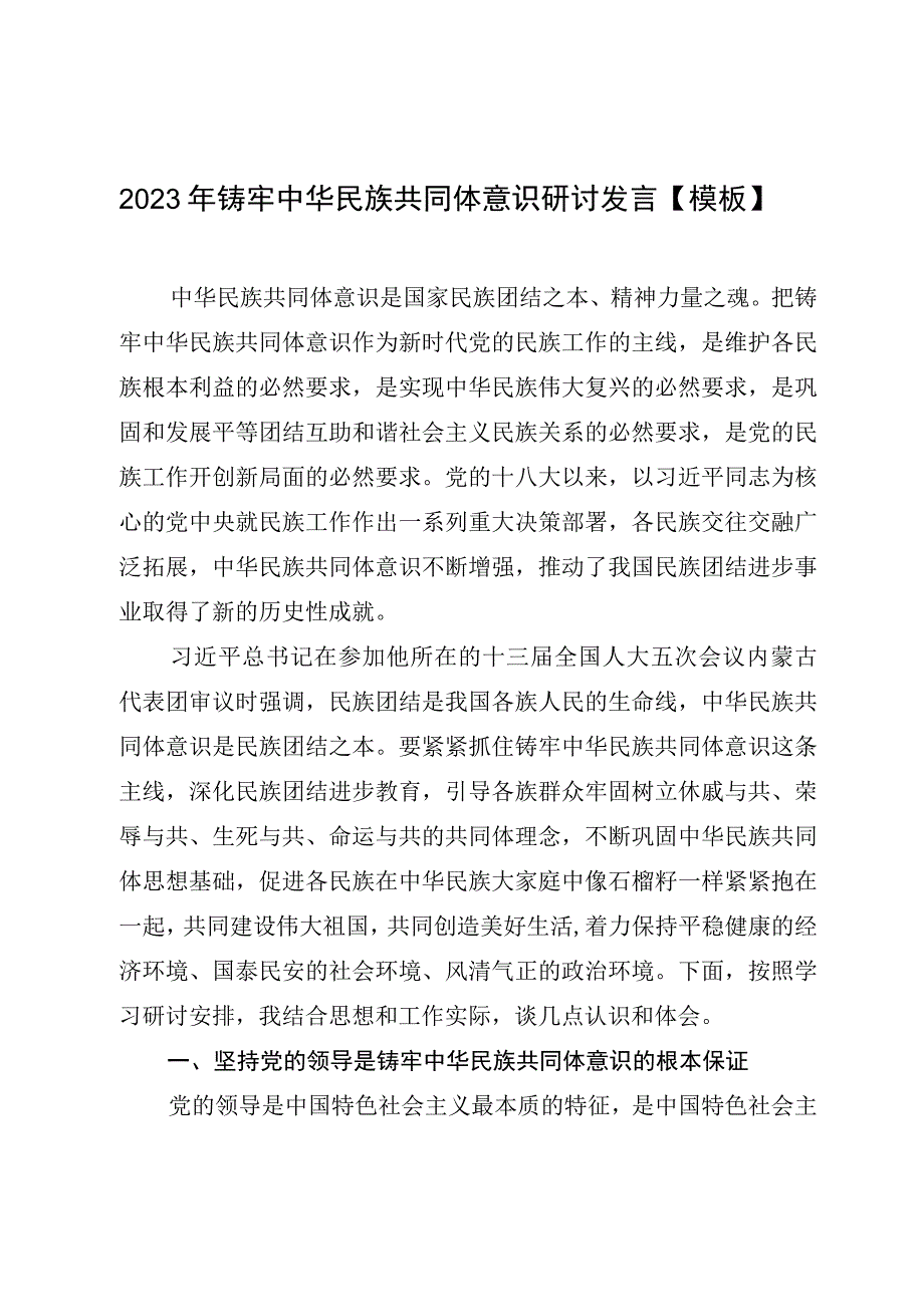 2023年铸牢中华民族共同体意识研讨发言模板.docx_第1页