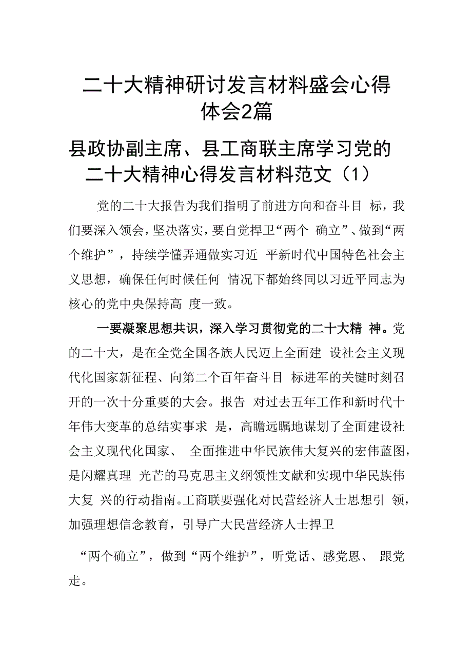 二十大精神研讨发言材料盛会心得体会2篇.docx_第1页