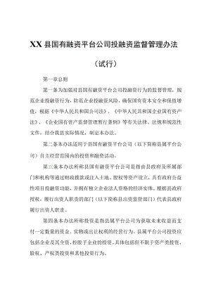 XX县国有融资平台公司投融资监督管理办法（试行）.docx