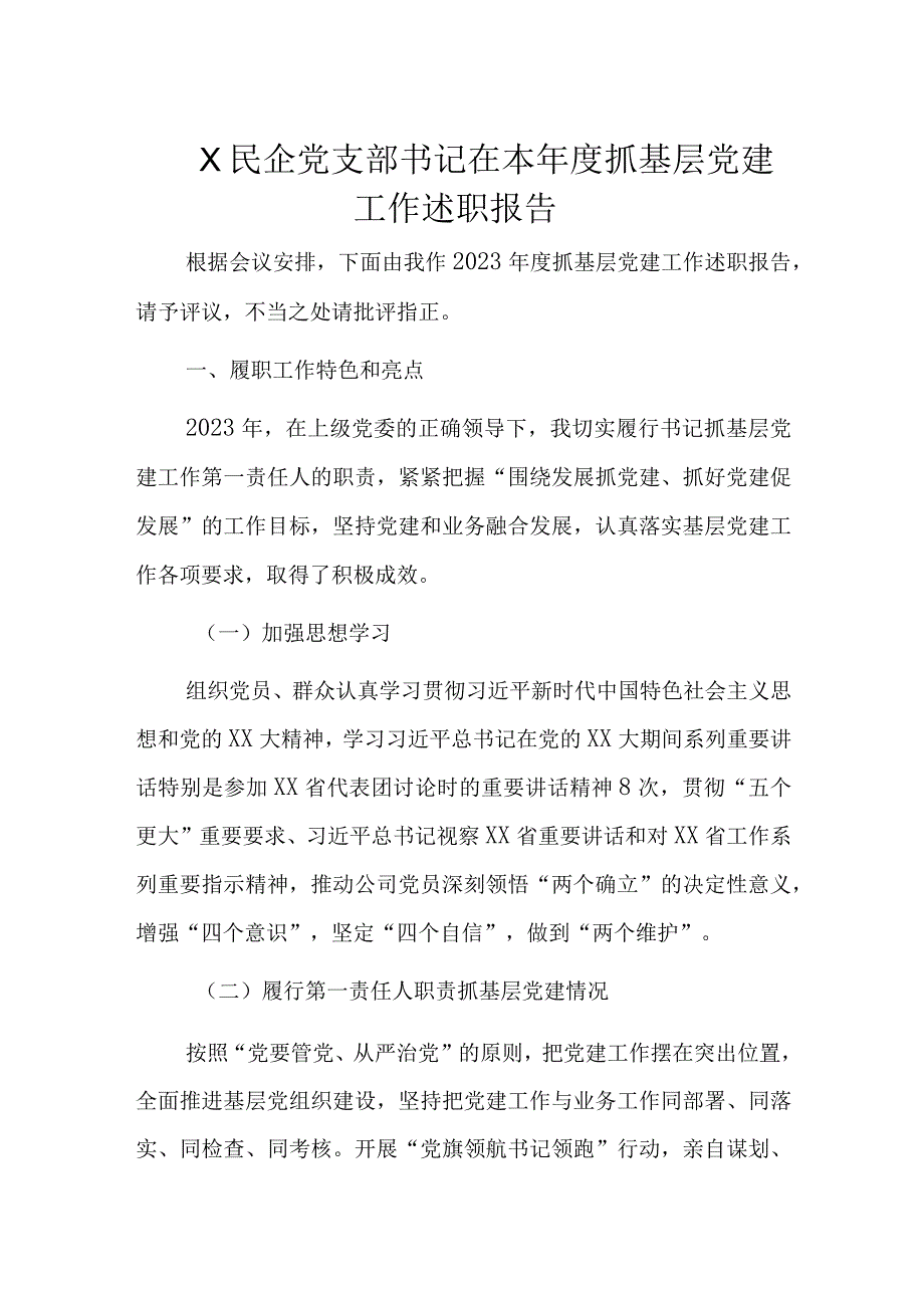 X民企党支部书记在本年度抓基层党建工作述职报告.docx_第1页