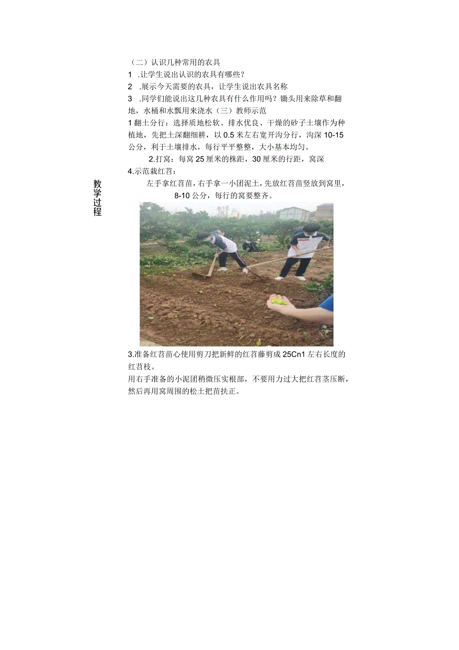 中小学生综合实践基地教学案栽种红苕.docx_第3页