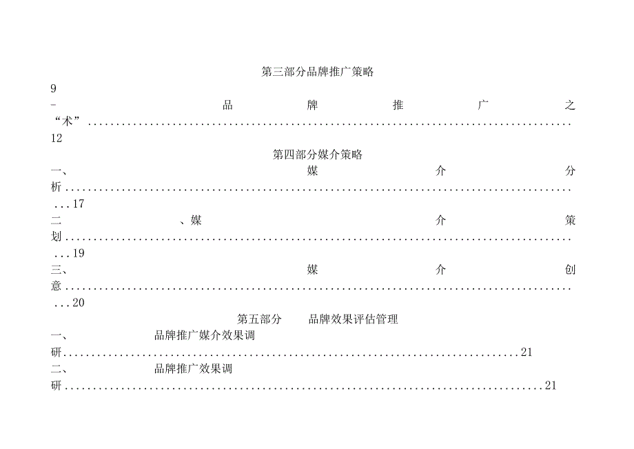 佐登妮丝品牌区域策略案.docx_第3页