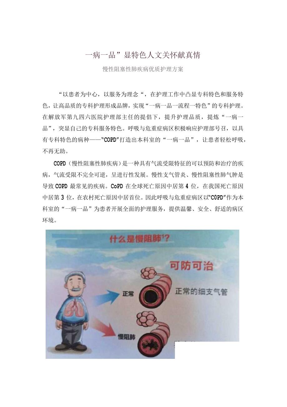 一病一品慢性阻塞性肺疾病优质护理方案呼吸科.docx_第1页