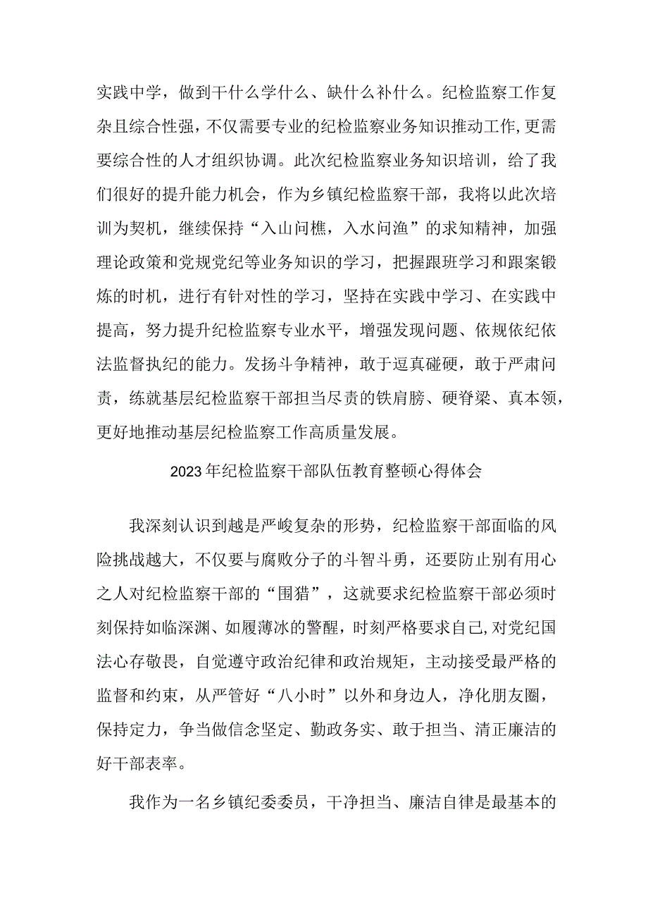 乡镇2023年纪检监察干部队伍教育整顿心得体会 汇编6份.docx_第2页