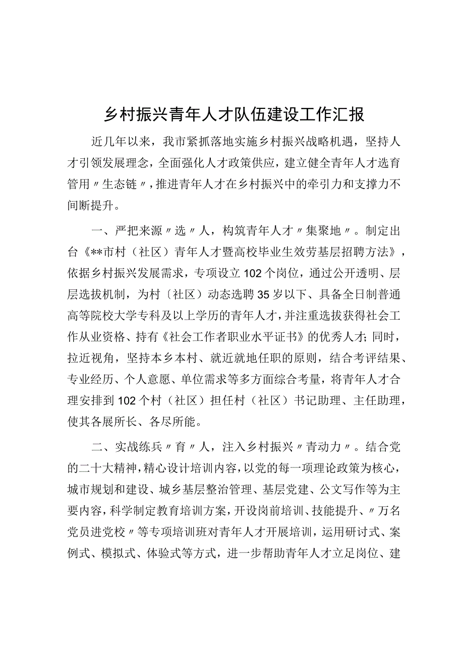 乡村振兴青年人才队伍建设工作汇报.docx_第1页