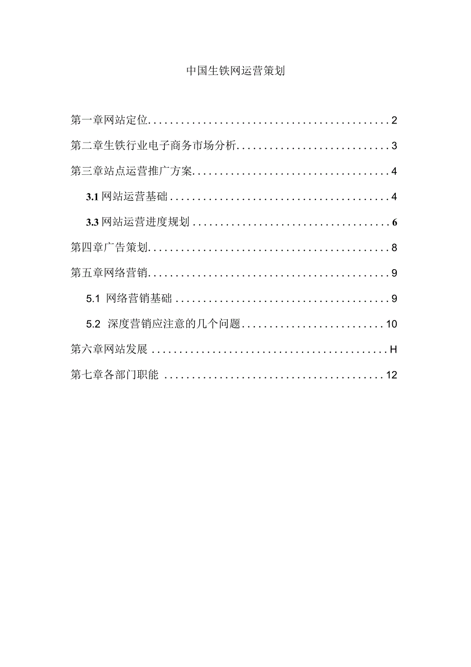 中国生铁网运营策划.docx_第1页