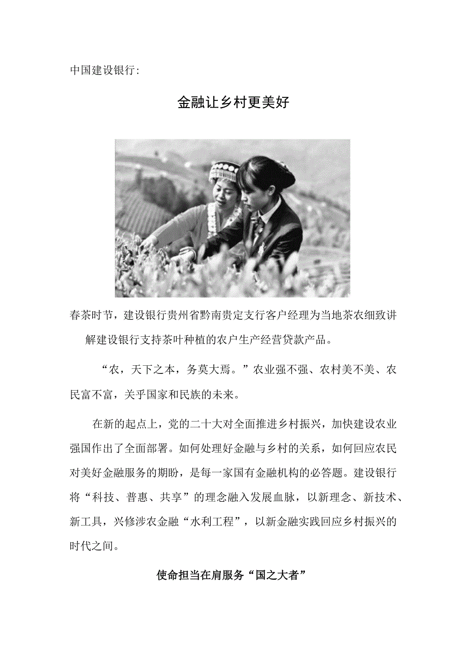 中国建设银行：金融让乡村更美好.docx_第1页