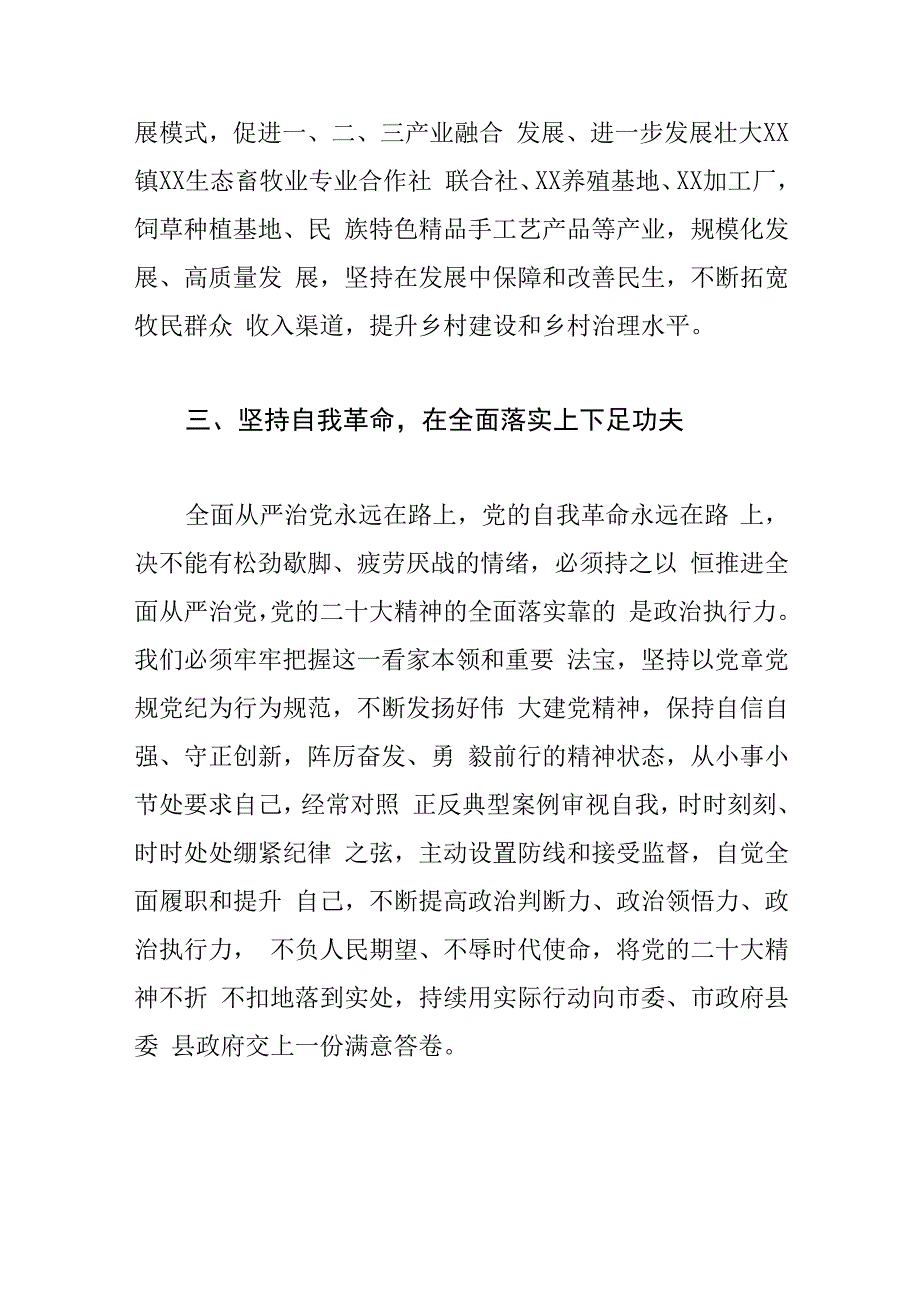 乡镇长中心组研讨发言坚持在发展中保障和改善民生.docx_第3页