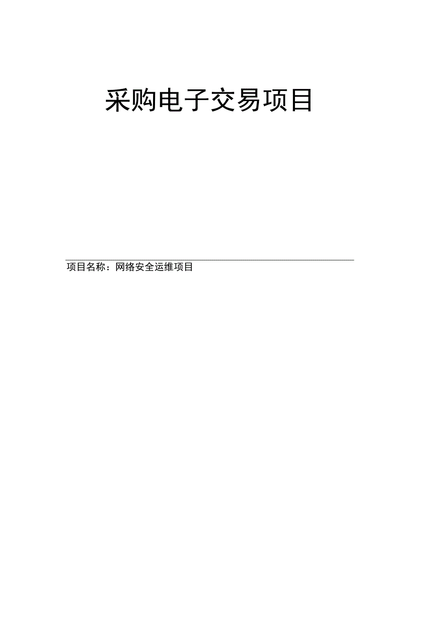 网络安全运维项目招标文件.docx_第1页